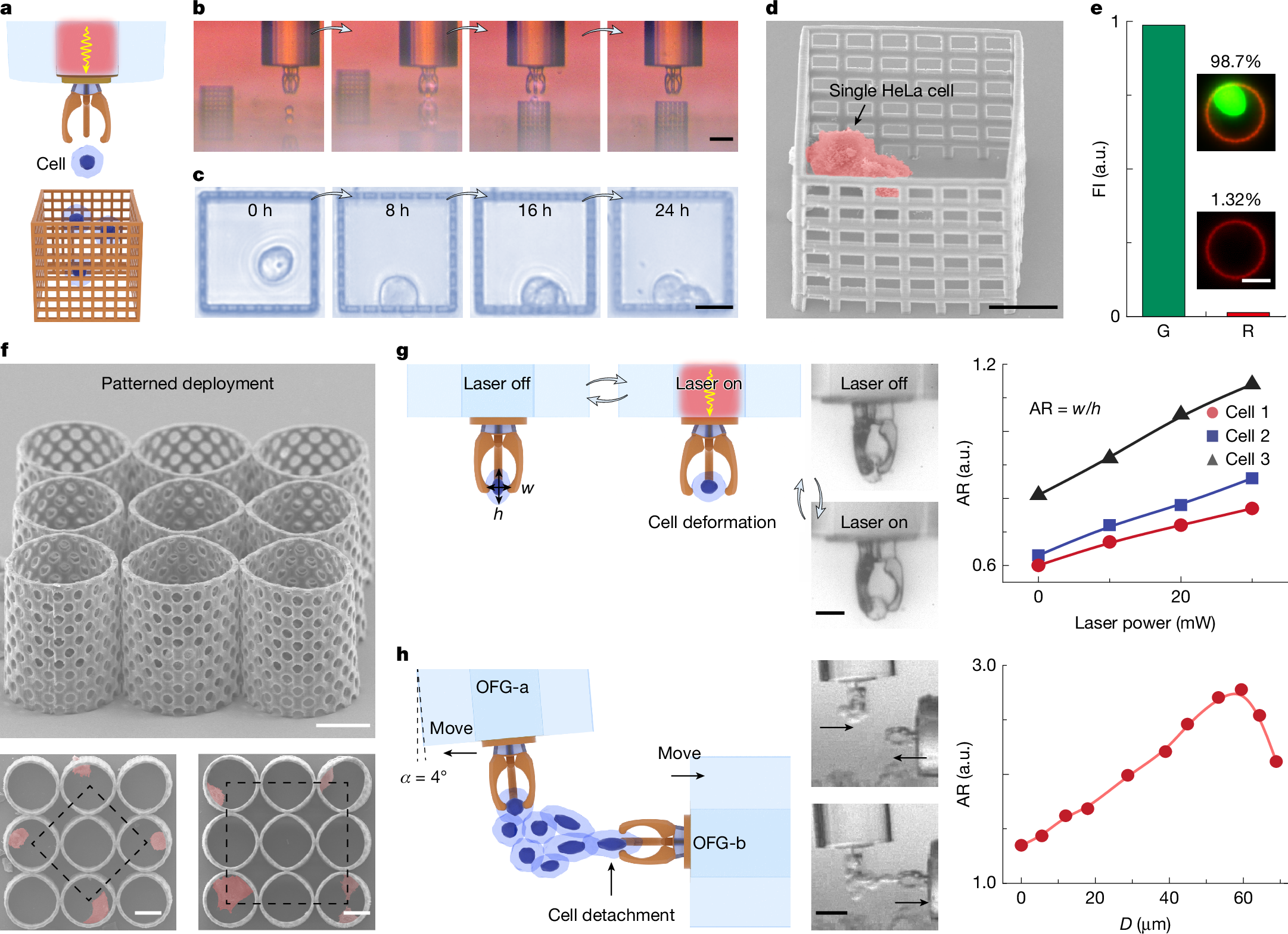 Fig. 4:Single-cell 3D delicate micromanipulation based on OFG.